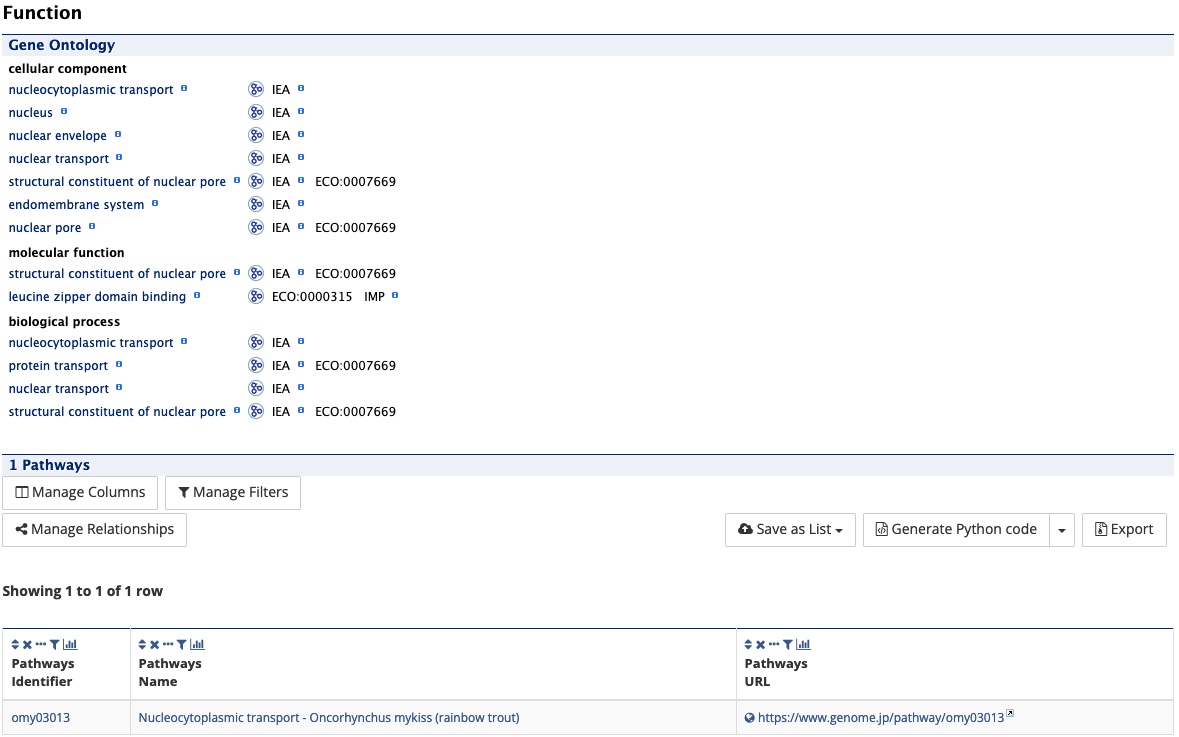 Report page function section
