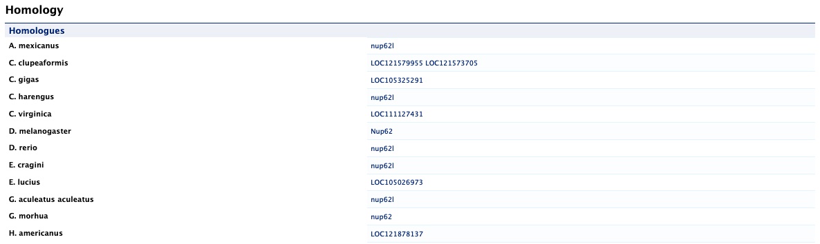 Report page homology section