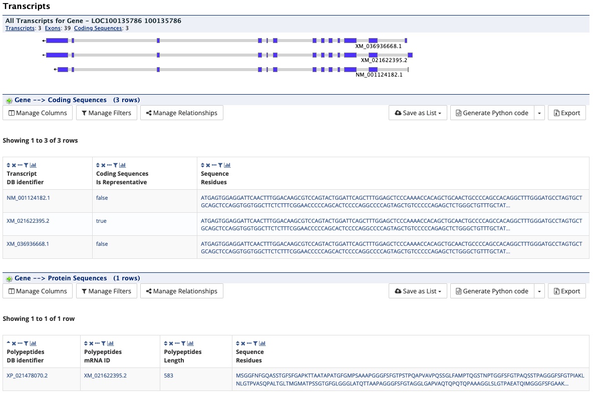 Report page transcript section